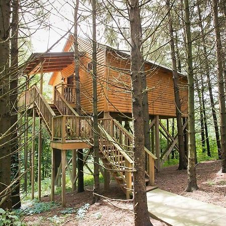 Whispering Pines Treehouse By Amish Country Lodging Міллерсбург Екстер'єр фото