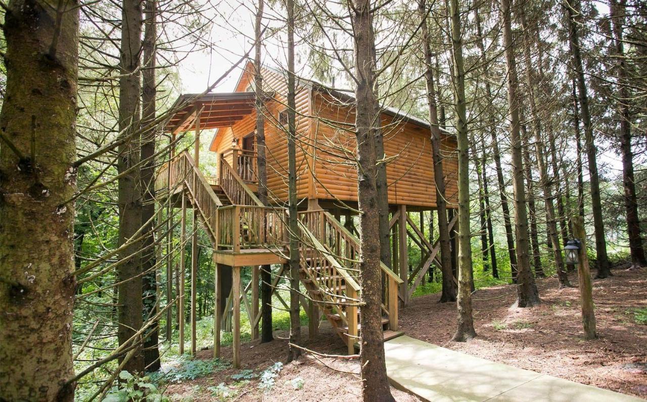 Whispering Pines Treehouse By Amish Country Lodging Міллерсбург Екстер'єр фото